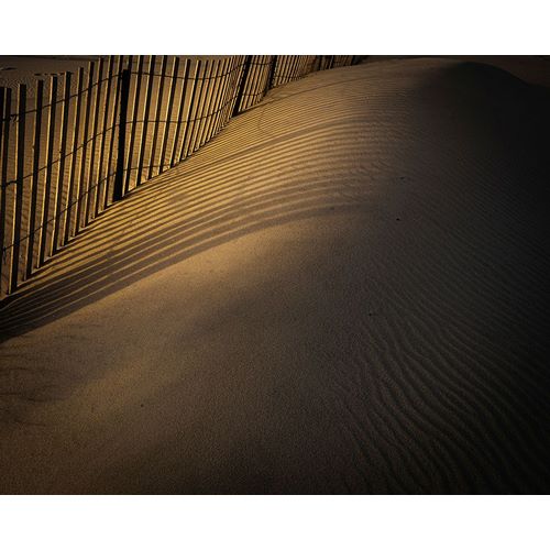 Jaynes Gallery 아티스트의 USA-New Jersey-Cape May National Seashore Fence shadow patterns in sand작품입니다.